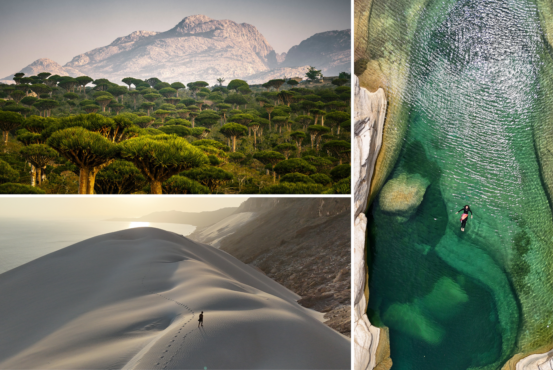 Socotra Island: All You Need to Know When Visiting The Island