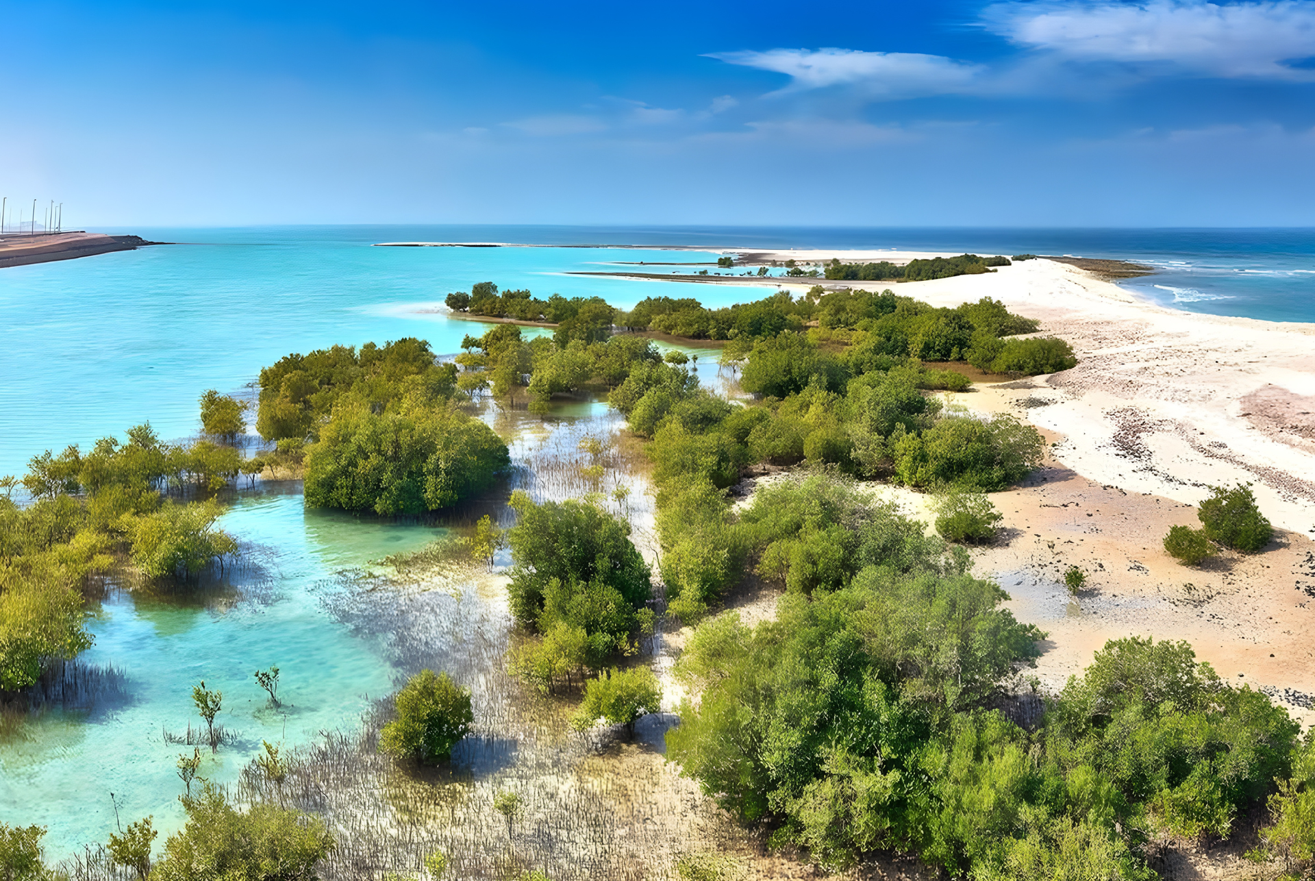 Tropical beach with turquoise water, mangroves, and white sand under a blue sky in Abu Dhabi,
