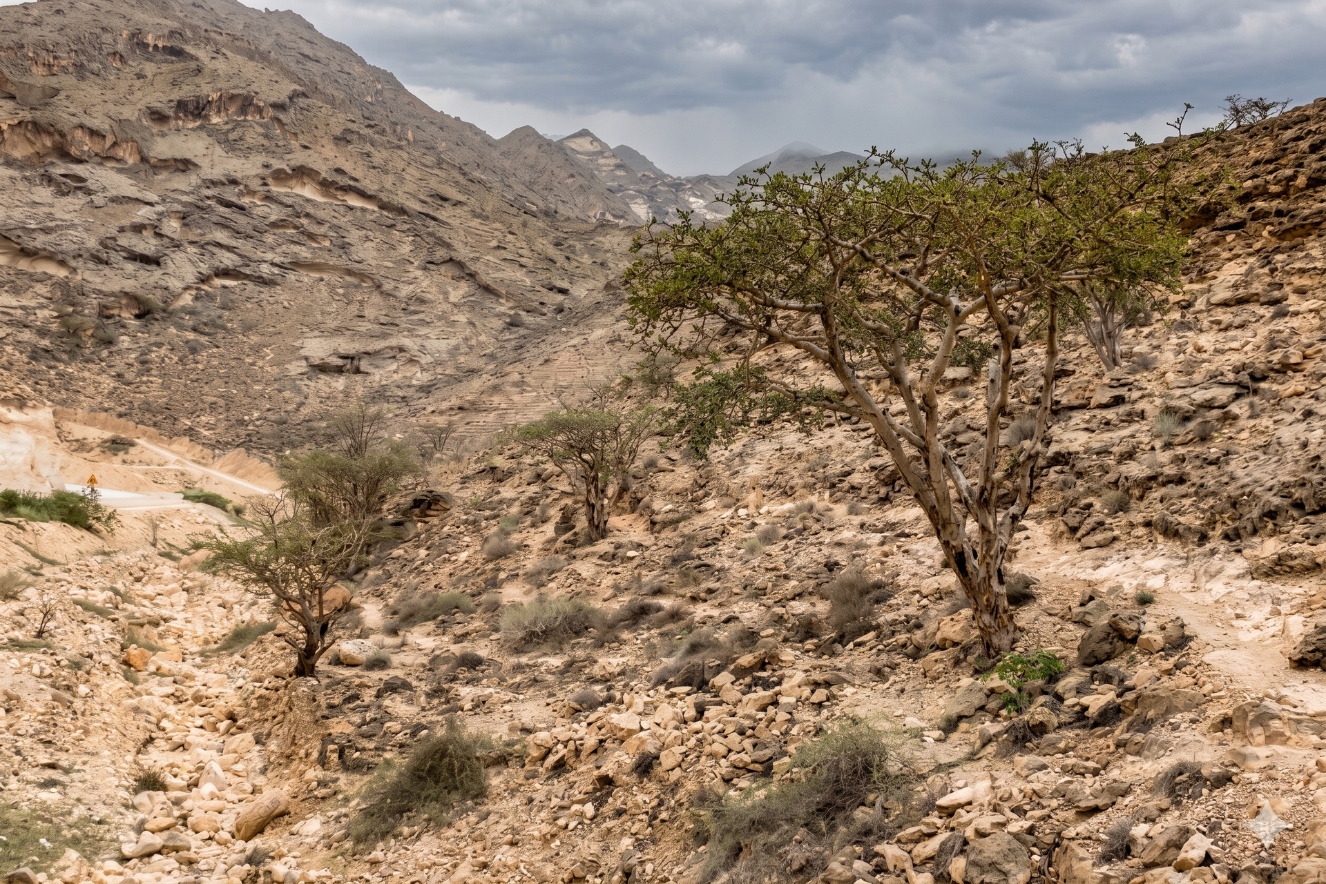 The view in Salalah outside of Khareef Season.