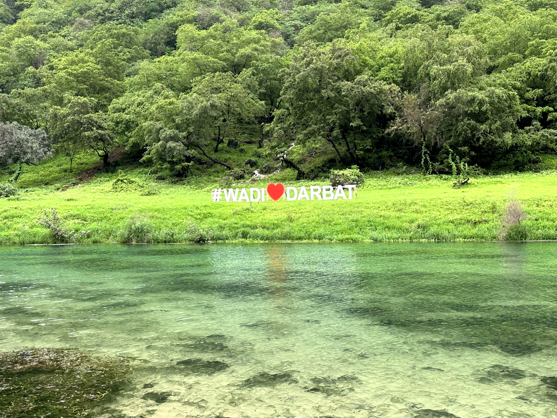Clear green river beside lush forested bank with a white-and-red sign in the center in Wadi Darbat, Salalah.