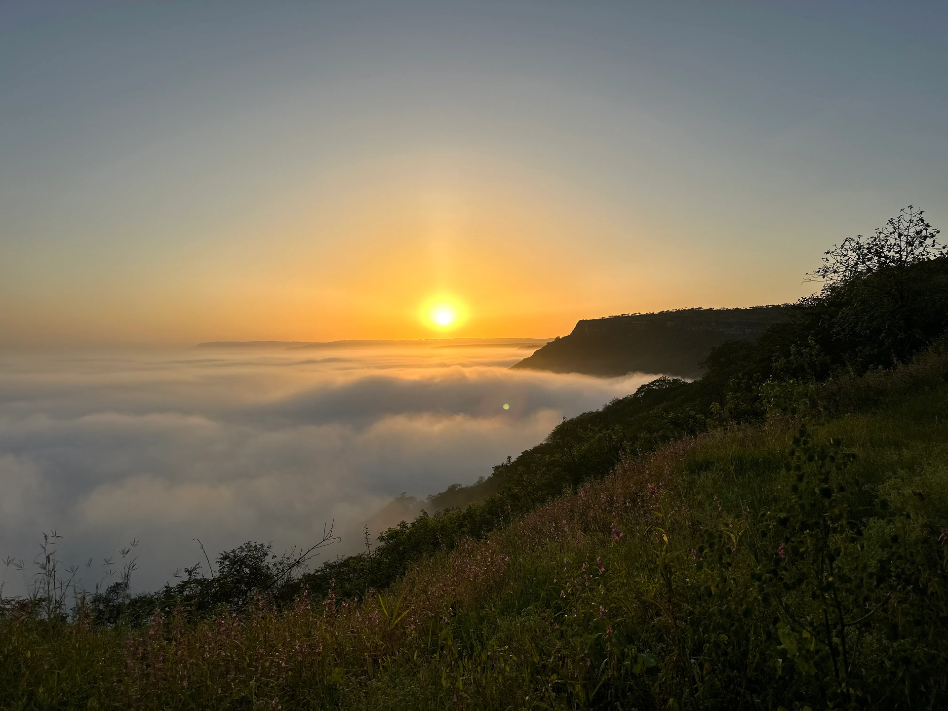 Sunrise over a foggy valley beside a grassy hillside and dark cliff edge in Salalah.