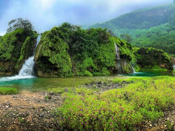 Lush green waterfall cascading over mossy rocks into a clear pool beside a grassy riverbank in Ain Jarziz, Salalah.
