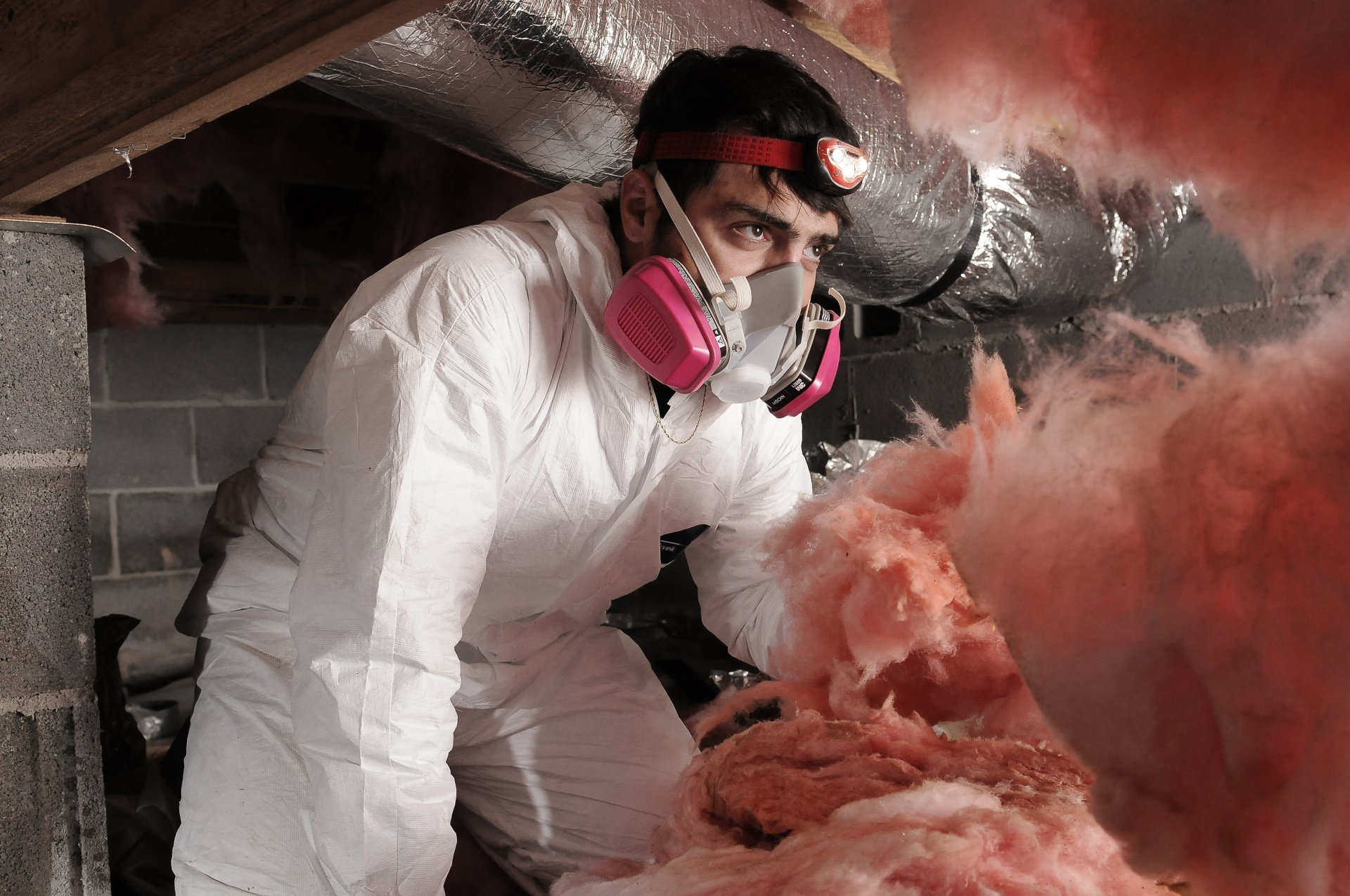 Pest Control Hampton Roads VA Pro Exterminator & Termite Treatments