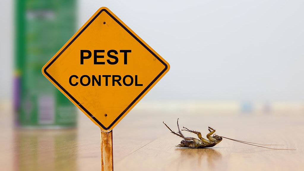 Pest Control Services Pest Control Services