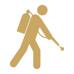 Pest Services
