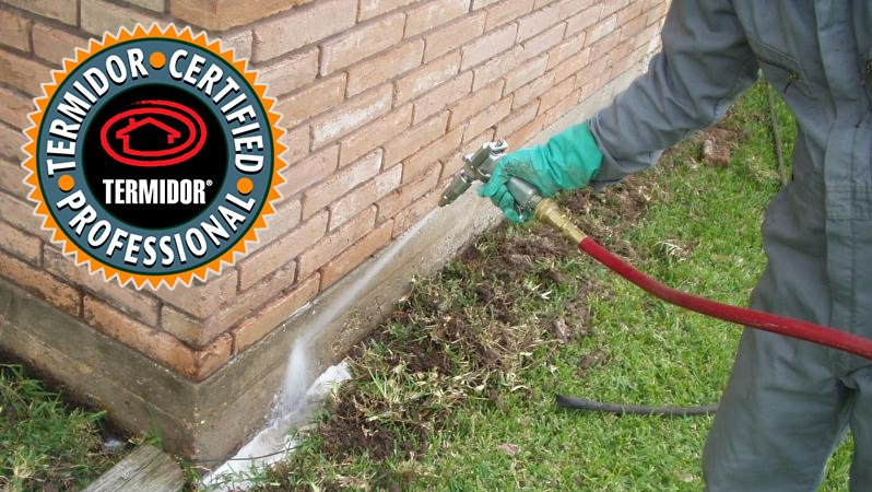 Termite Treatments Termite Treatments