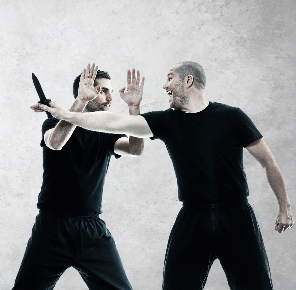 Adult Martial Arts