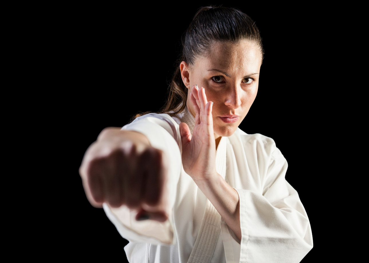 Adult Martial Arts
