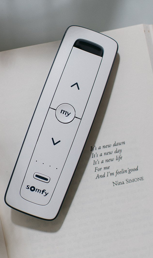 Motori Somfy