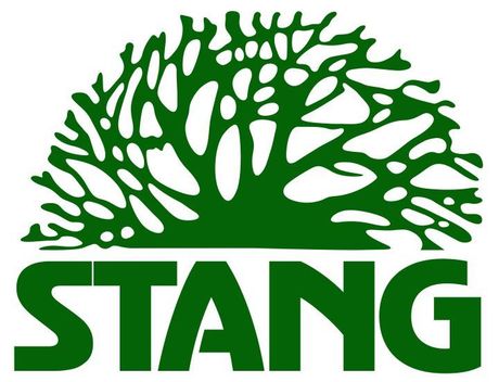 Stang