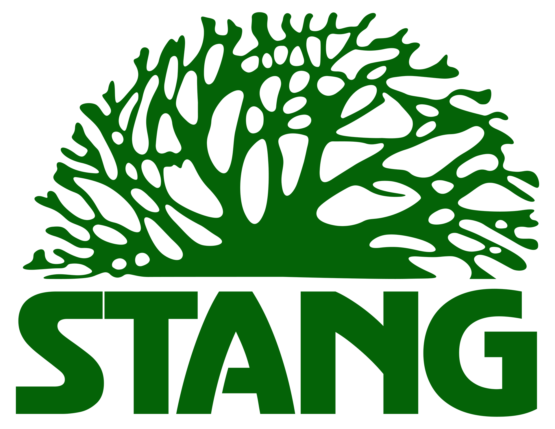 Green STANG logo with a stylized tree canopy above the wordmark