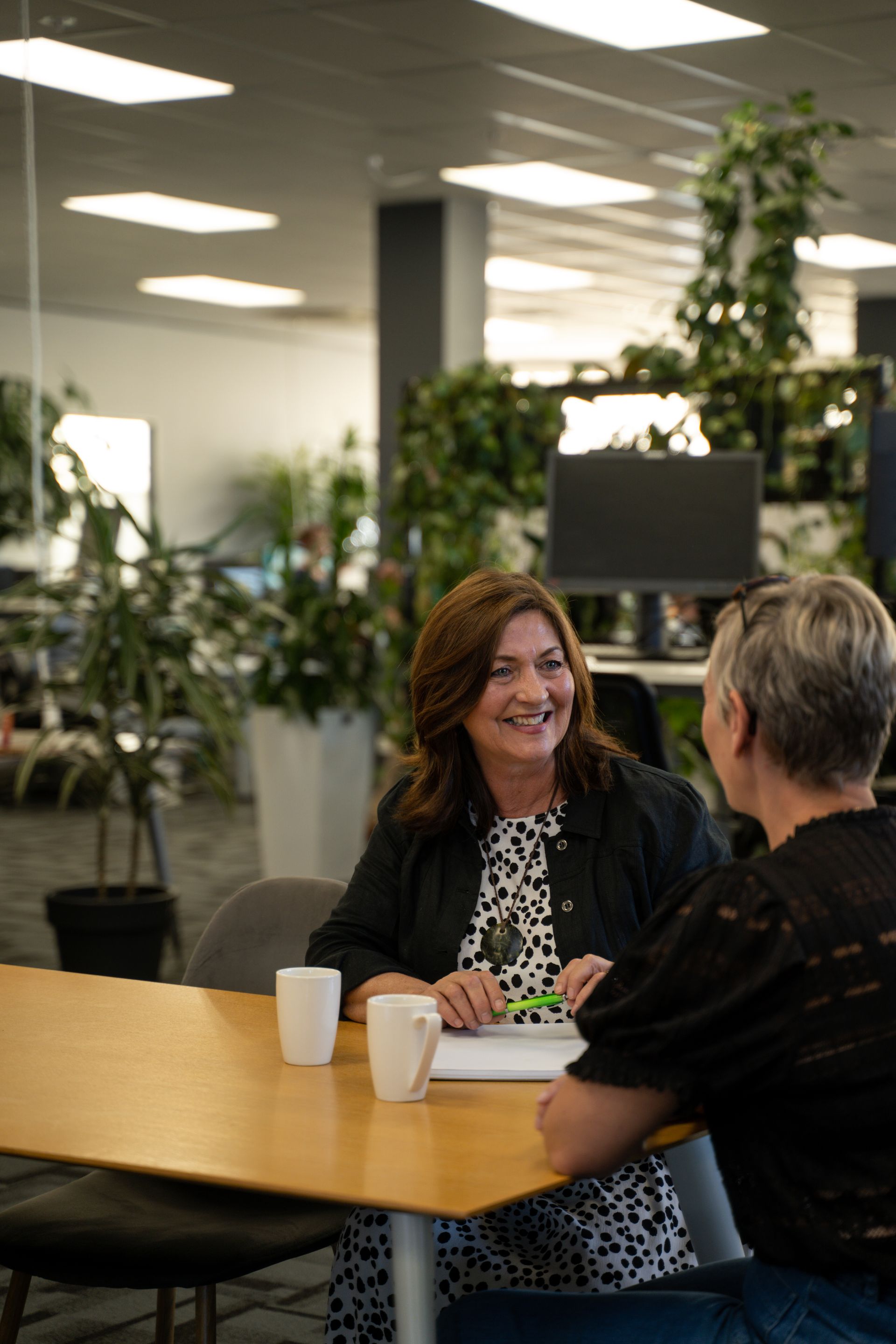 Meet the Peak Recruitment New Zealand team and consultants