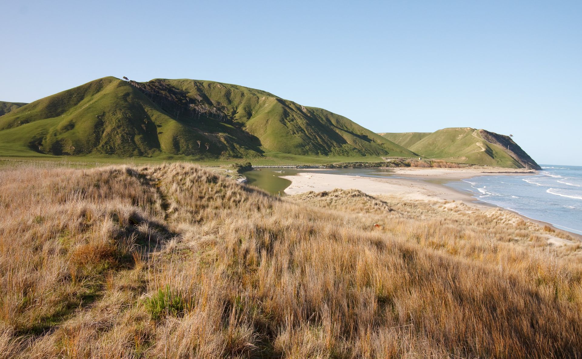 Apply for engineering, infrastructure and environmental jobs in New Zealand
