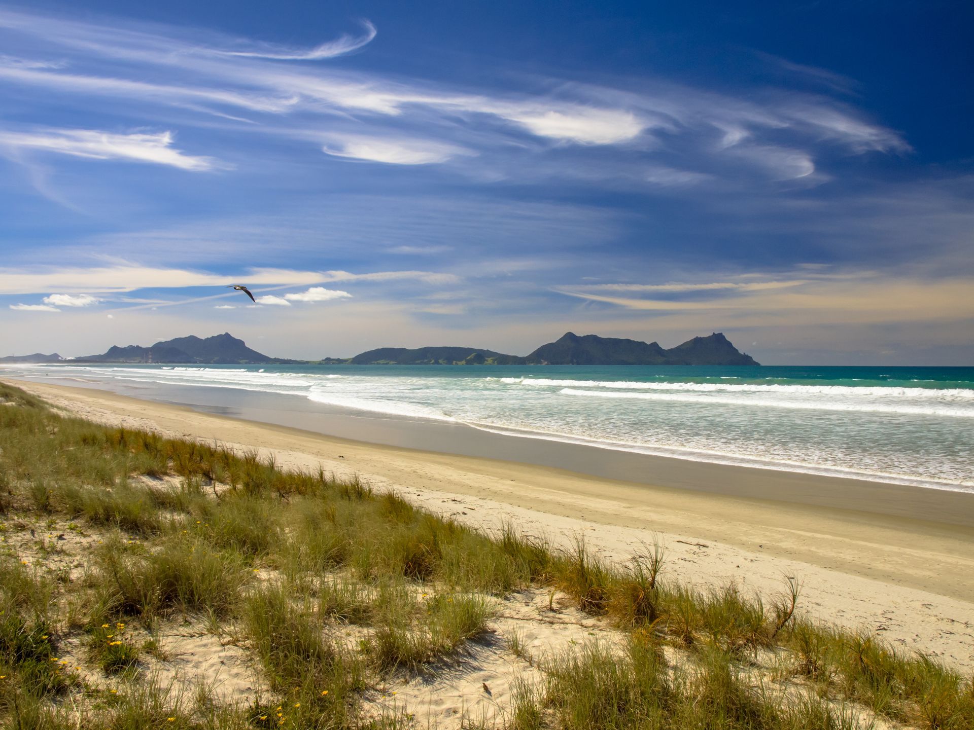 Search jobs in New Zealand's engineering, infrastructure and environmental sectors