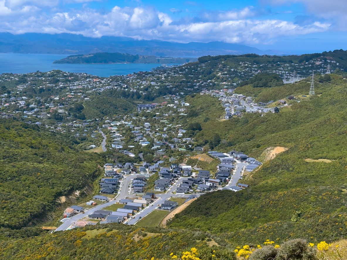 Resource management planners in New Zealand