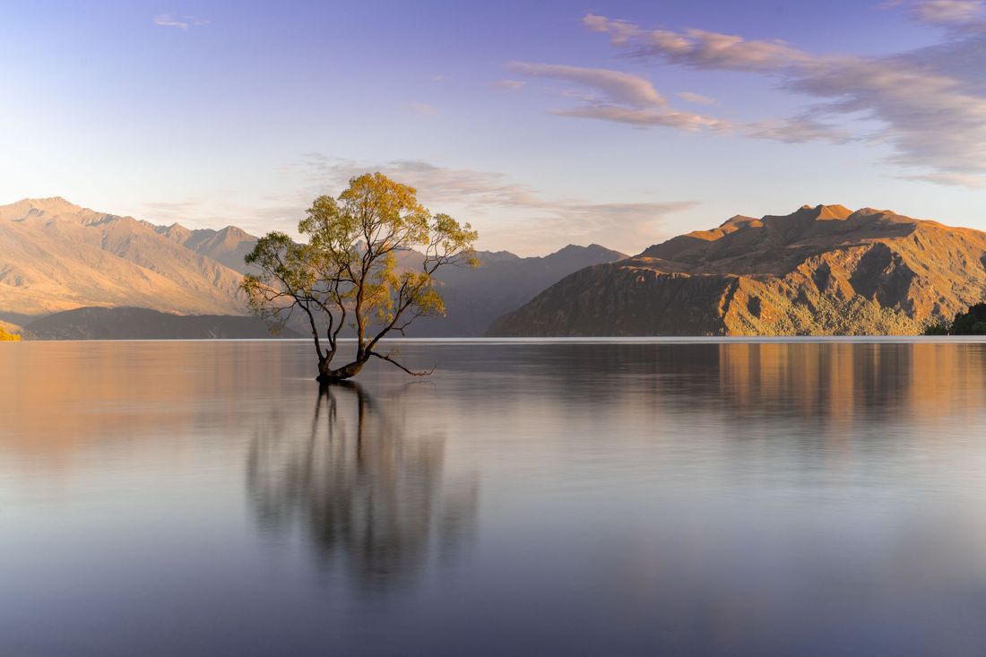 Contact Peak Recruitment New Zealand