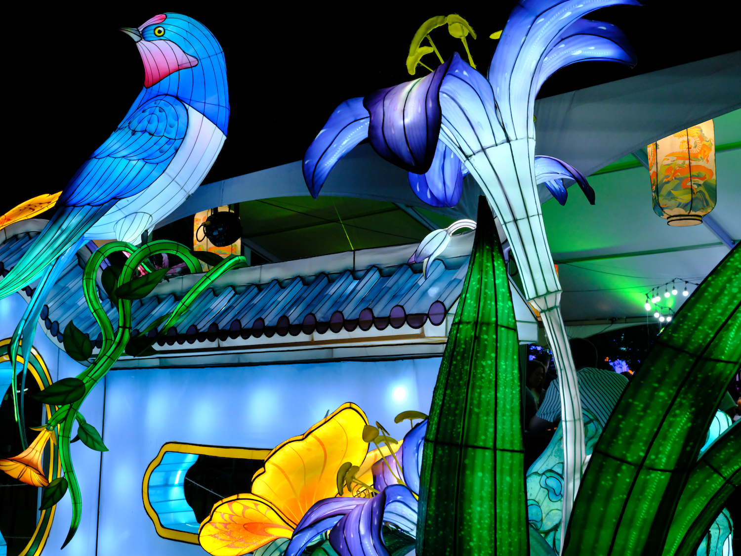 Lantern display of a blue bird perched on a vine, with blue and yellow flowers, and green leaves, against a blue wall.