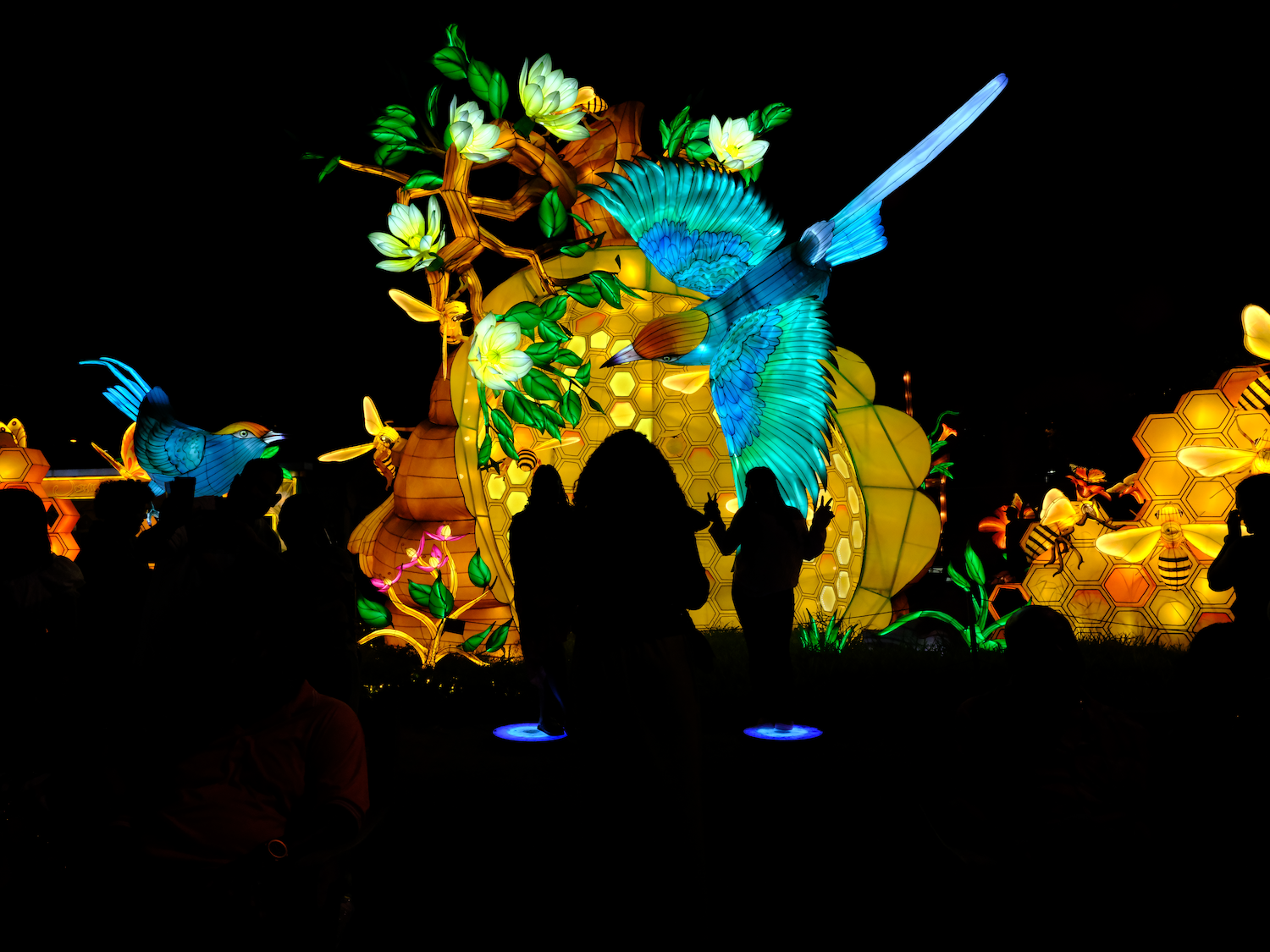 Glowing hummingbird lantern display with silhouetted figures.