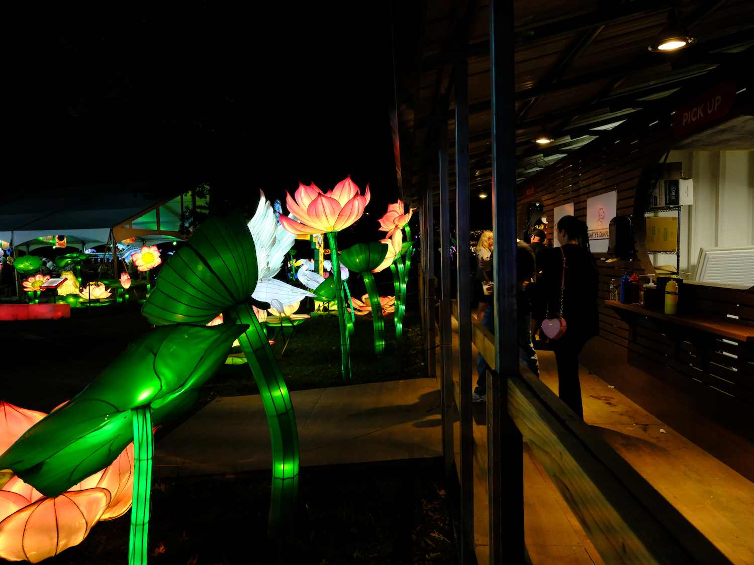 Illuminated lotus flower lanterns line a path next to a building at night.