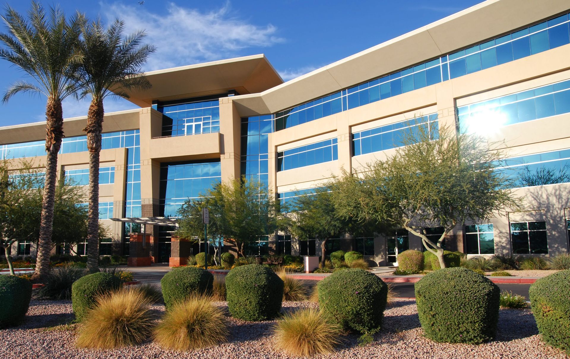 Modern beige office building with glass windows, palm trees, and landscaping under a blue sky.