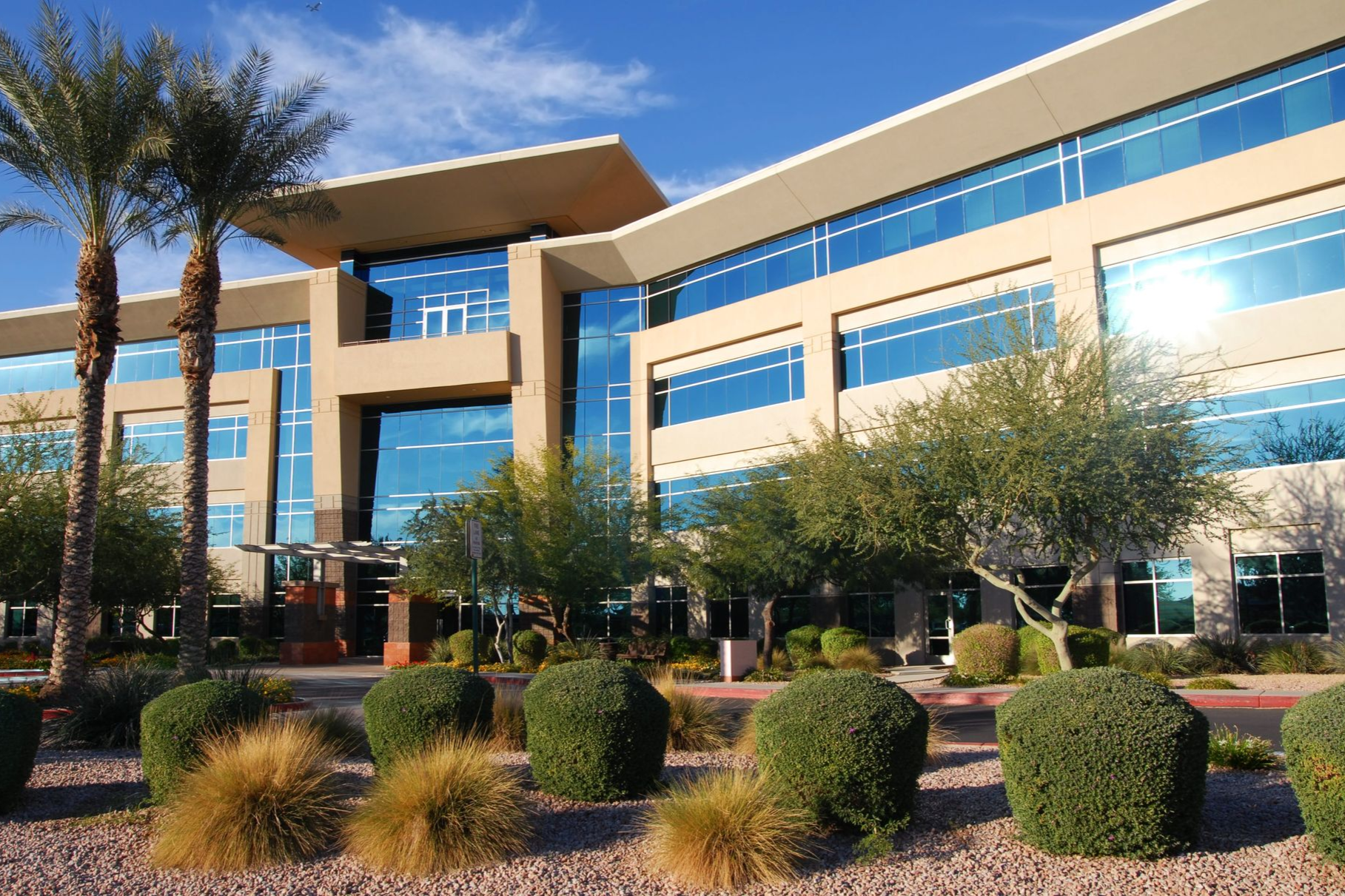 Modern office building with glass windows, beige walls, palm trees, and landscaped yard.