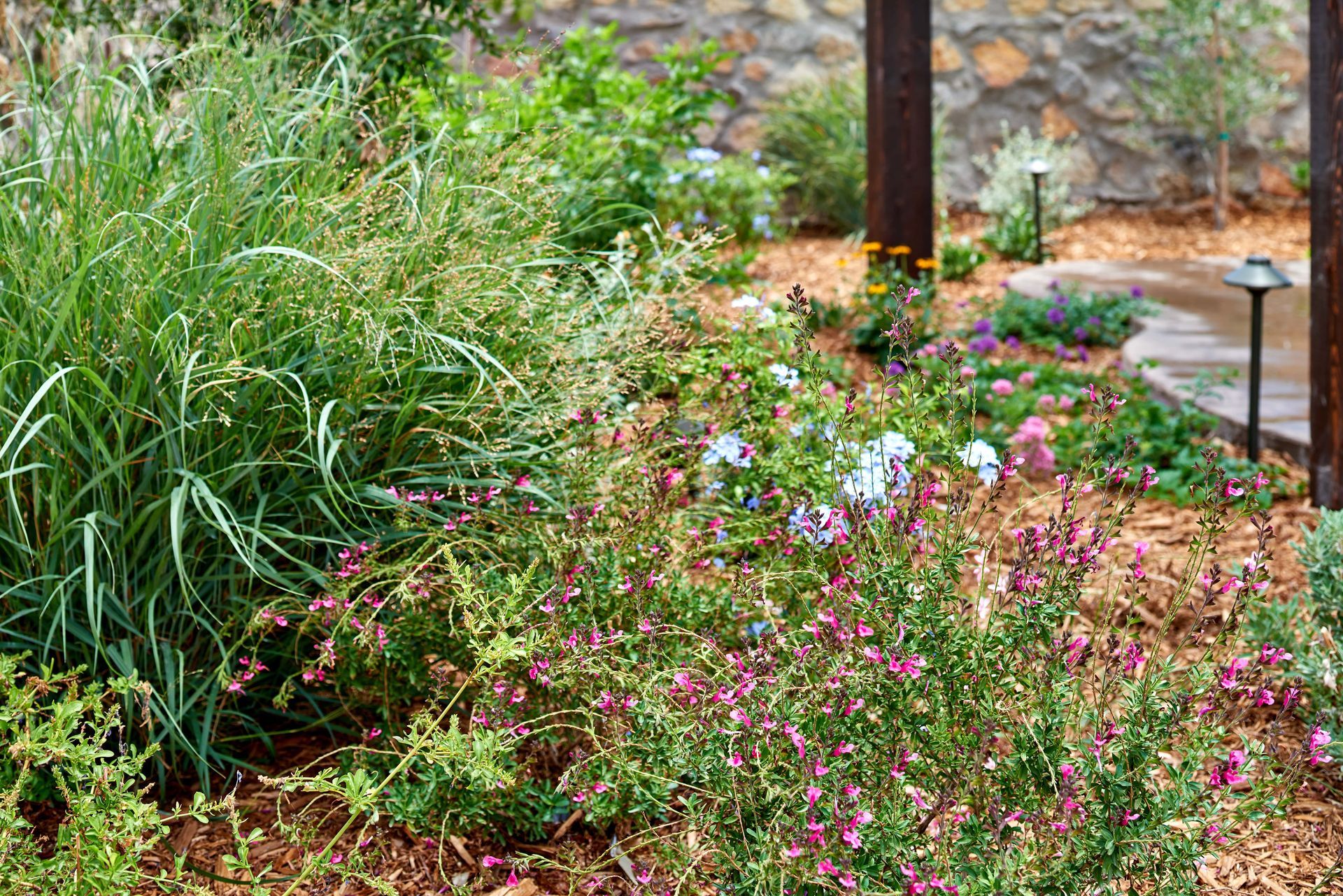 A garden bed with tall green grasses, small flowering plants, and mulch. Two rusty posts are visible.