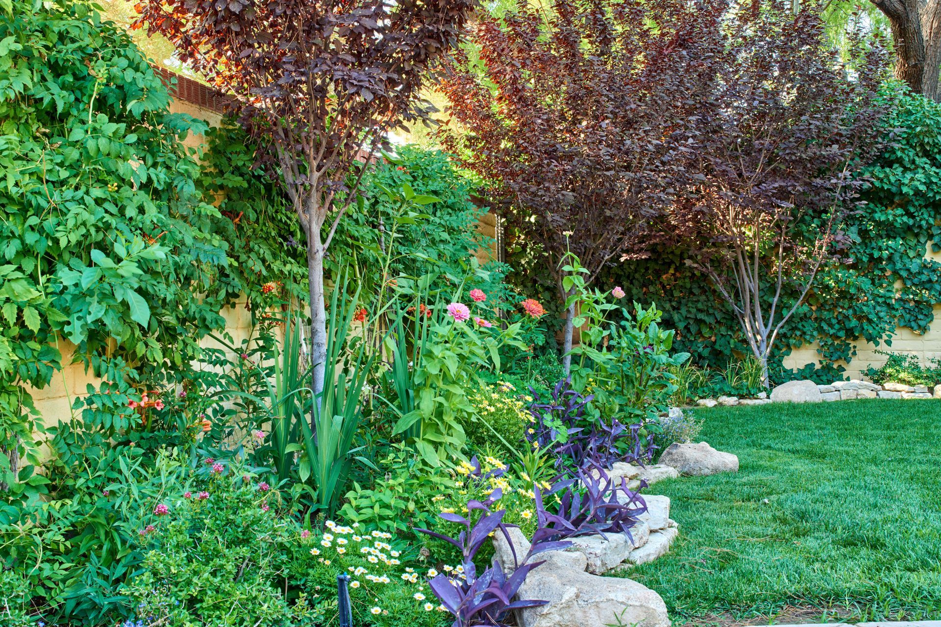 Lush garden with various green plants and purple-leaf trees, bordered by a stone wall and green lawn.
