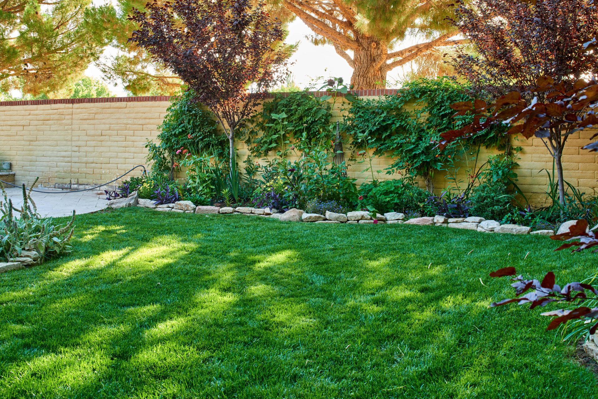 Green lawn and garden bed with climbing vines against a yellow-toned brick wall, trees above.