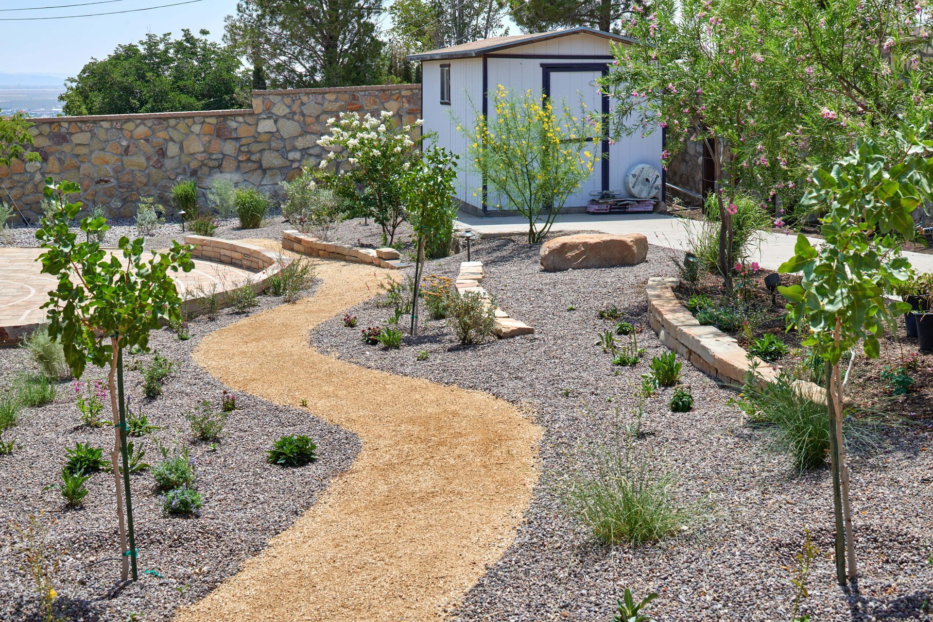 Winding gravel path through a xeriscape garden with small trees and a white shed in the background.