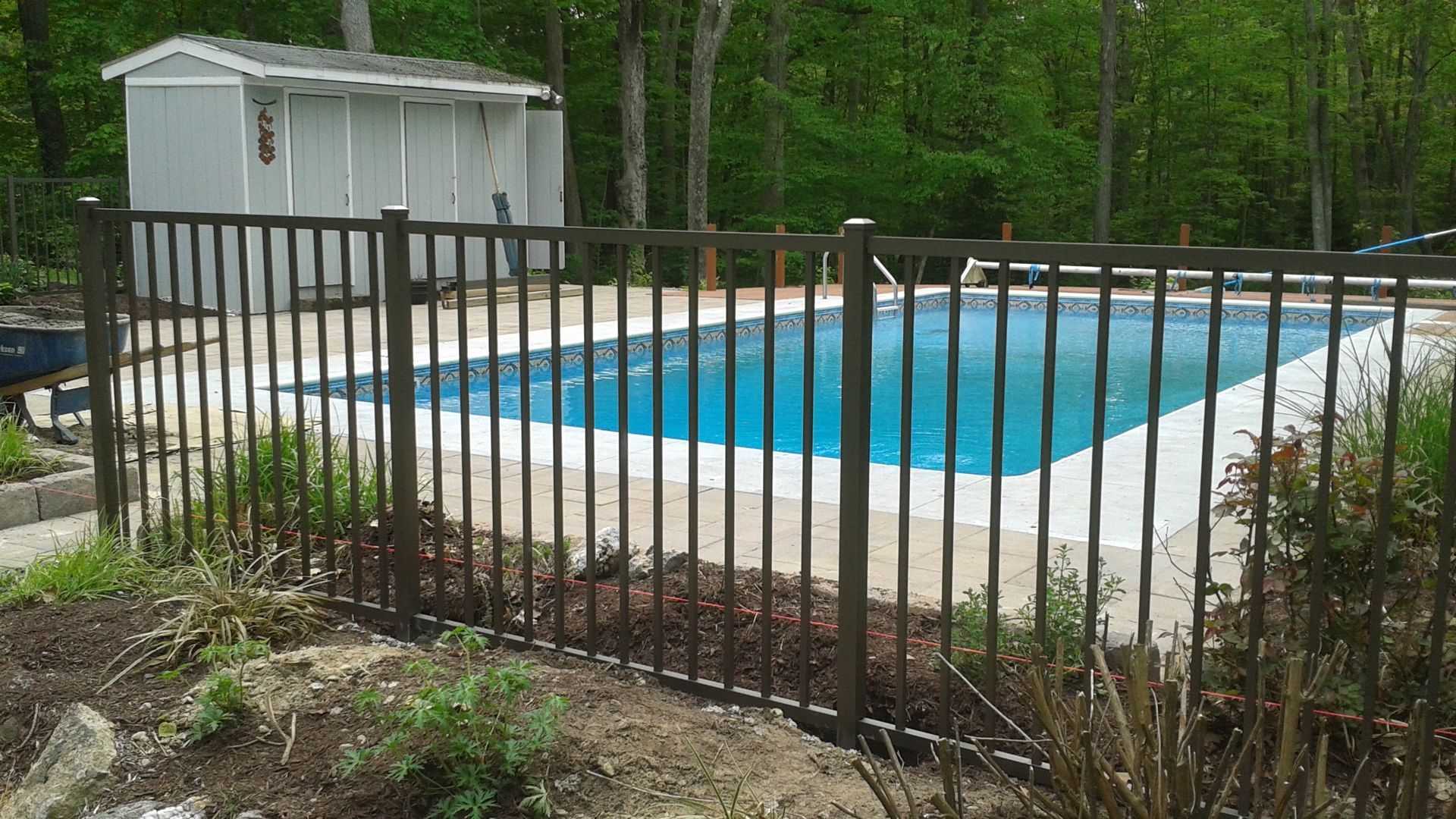 Black metal fence surrounds a blue swimming pool, shed in the background, trees.