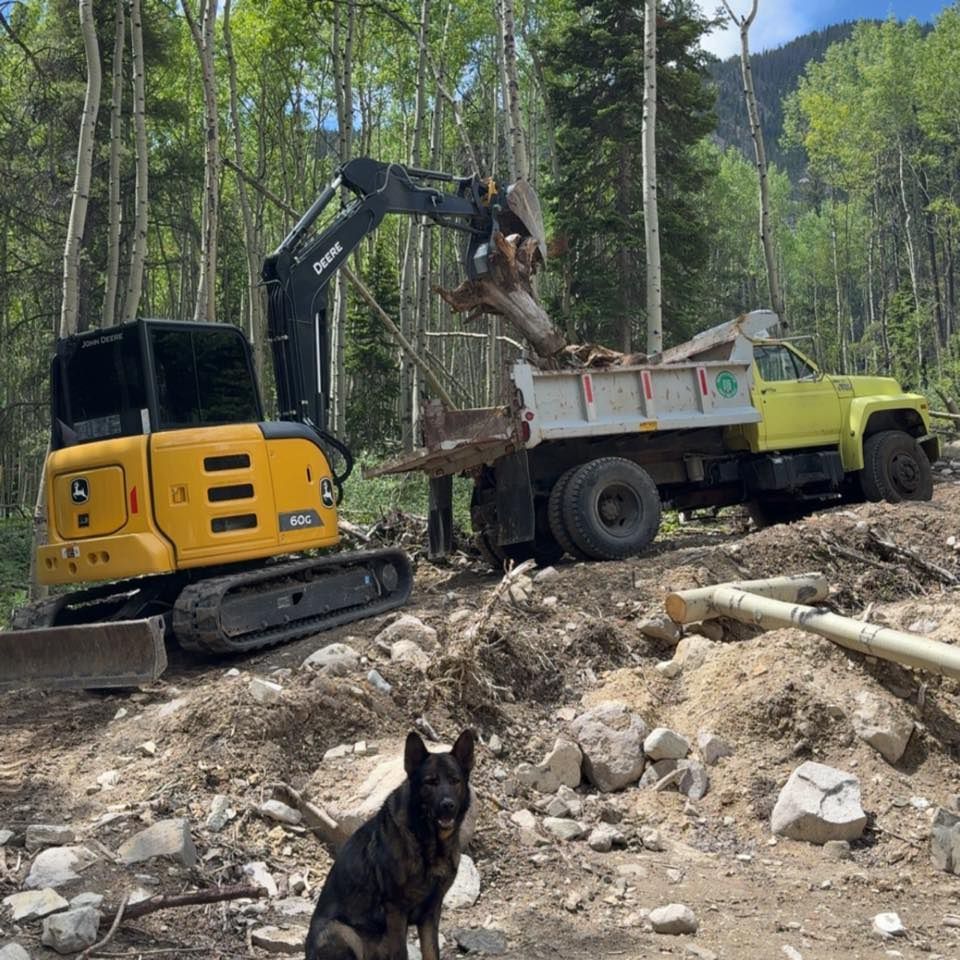 Excavator unloading debris into a yellow dump truck on a rocky construction site, with a black dog in the foreground