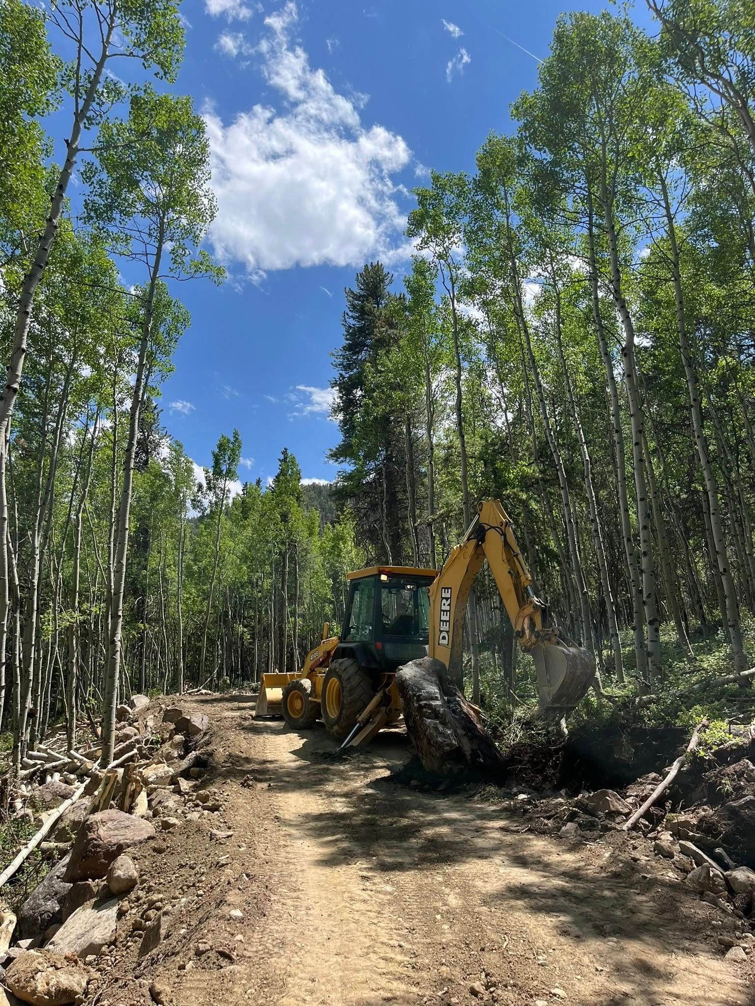 Backhoe on a dirt road clearing trees in a green forest under a blue sky