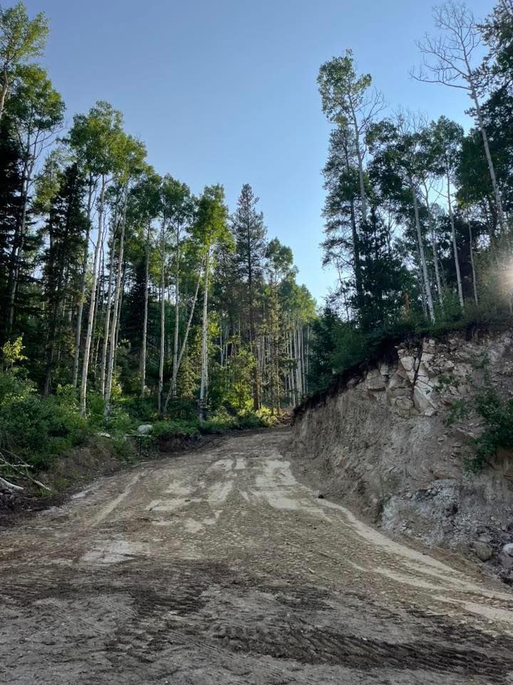 Dirt road cutting through a wooded hillside under a clear blue sky