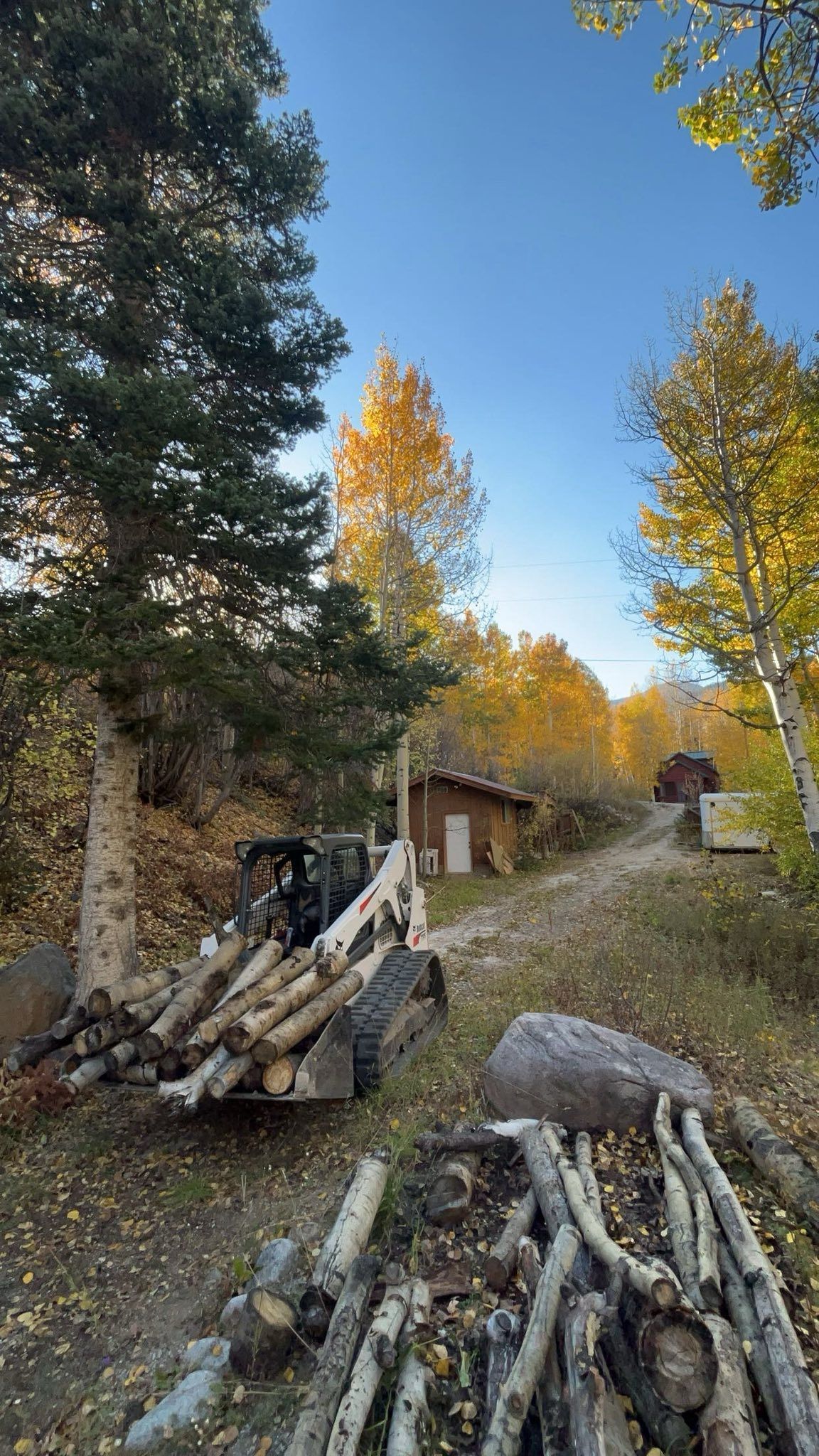 Stacked firewood in a rustic yard with autumn trees and a small cabin under a blue sky.