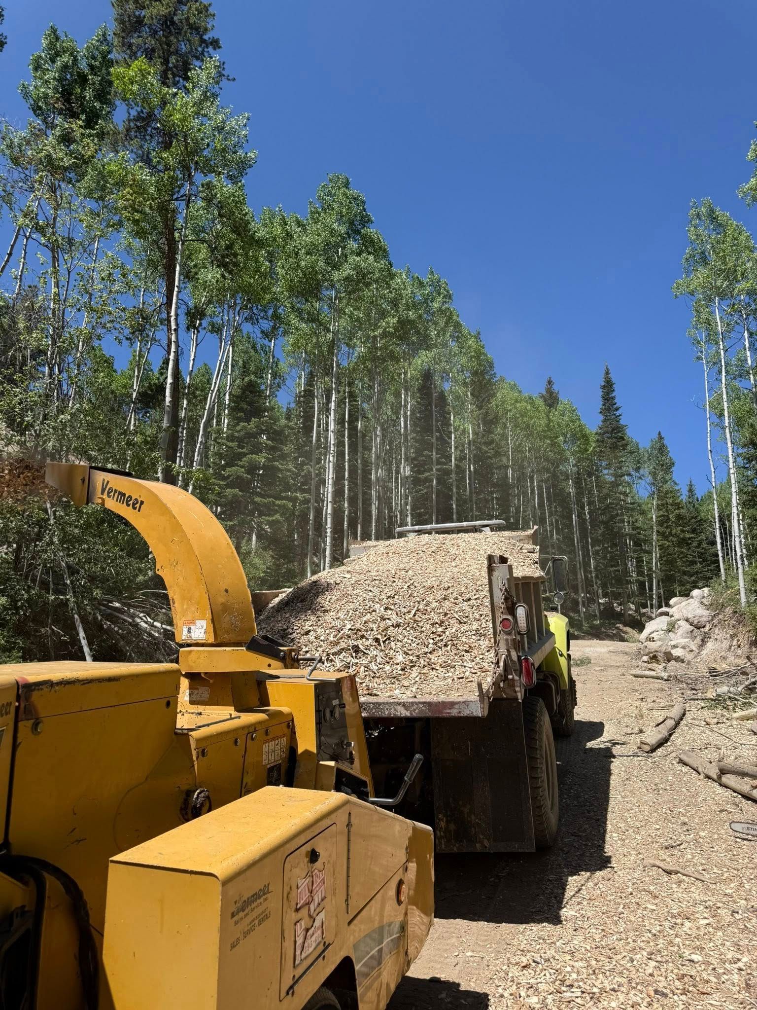 Yellow wood chipper and dump truck on a forest road under a clear blue sky.