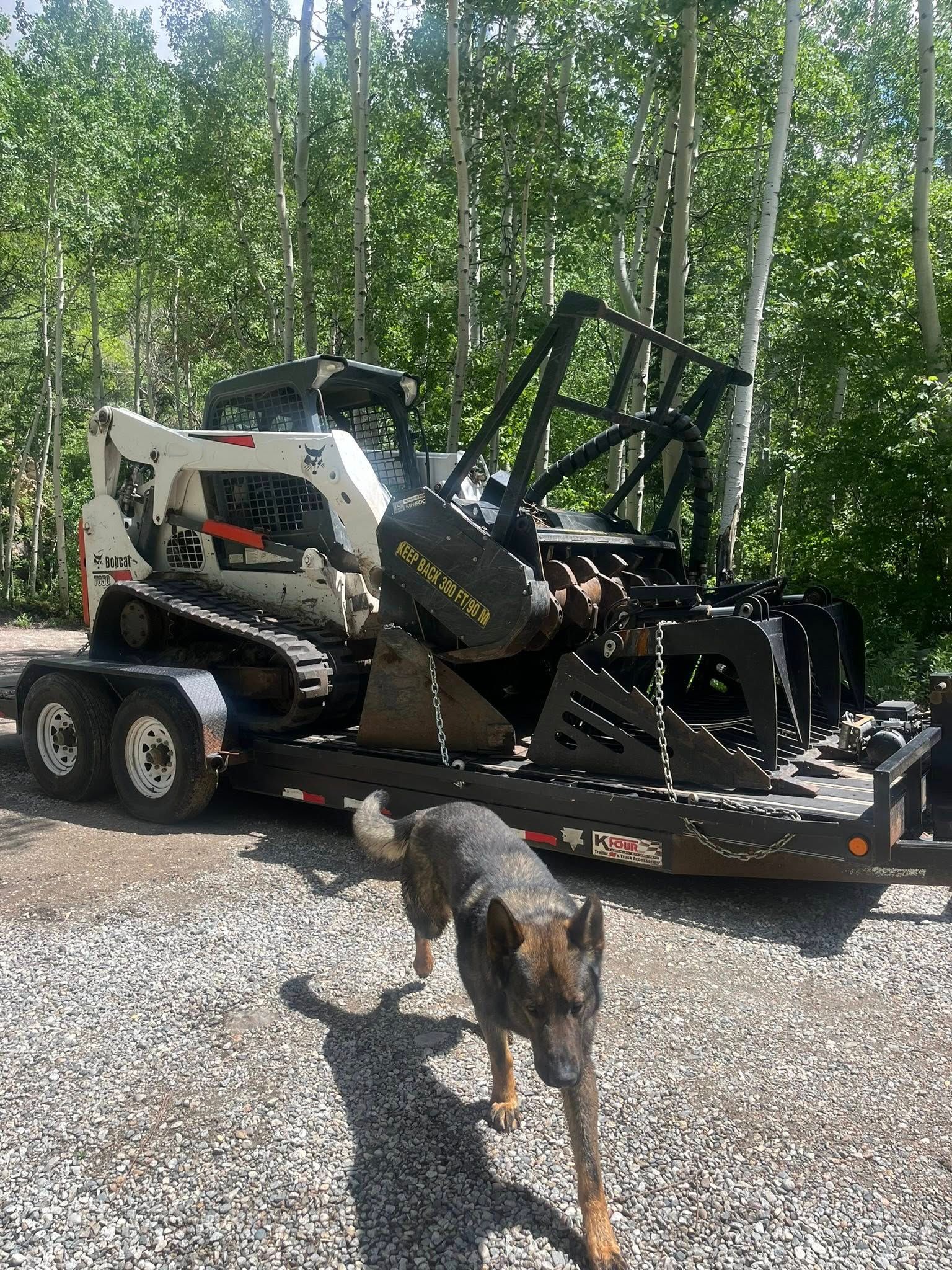 Construction vehicle on a trailer in a wooded area, with a dog walking in the foreground.