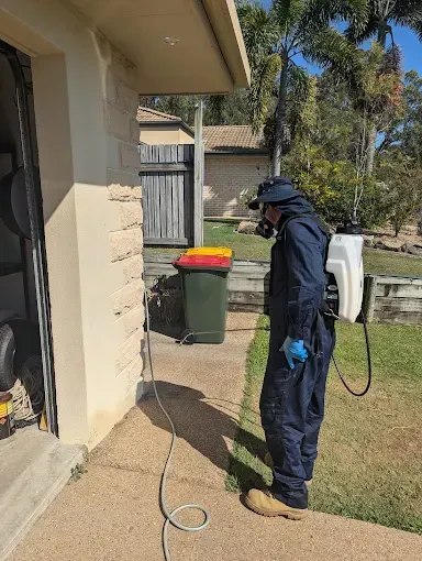 A Person in Gloves Uses a Tool to Spray Liquid Into a Wooden Beam — Total Pest and Carpet Cleaning in Yeppoon, QLD