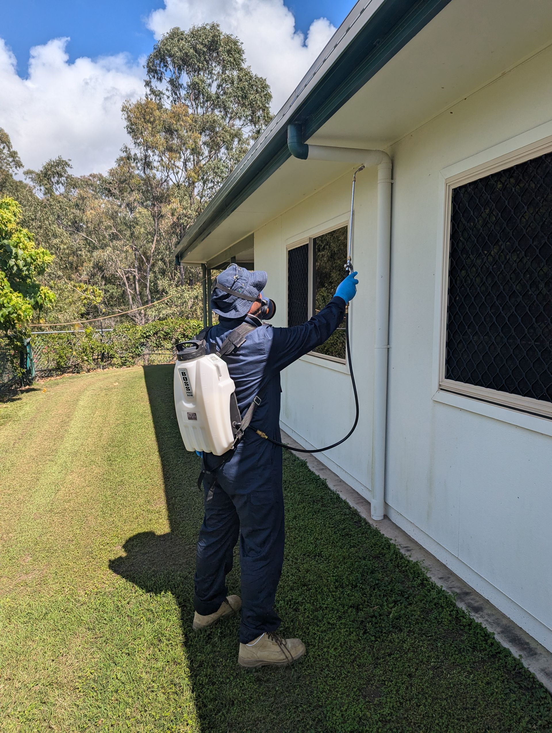 A Man is Cleaning the Ceiling With a Mop — Total Pest and Carpet Cleaning in Emu Park, QLD