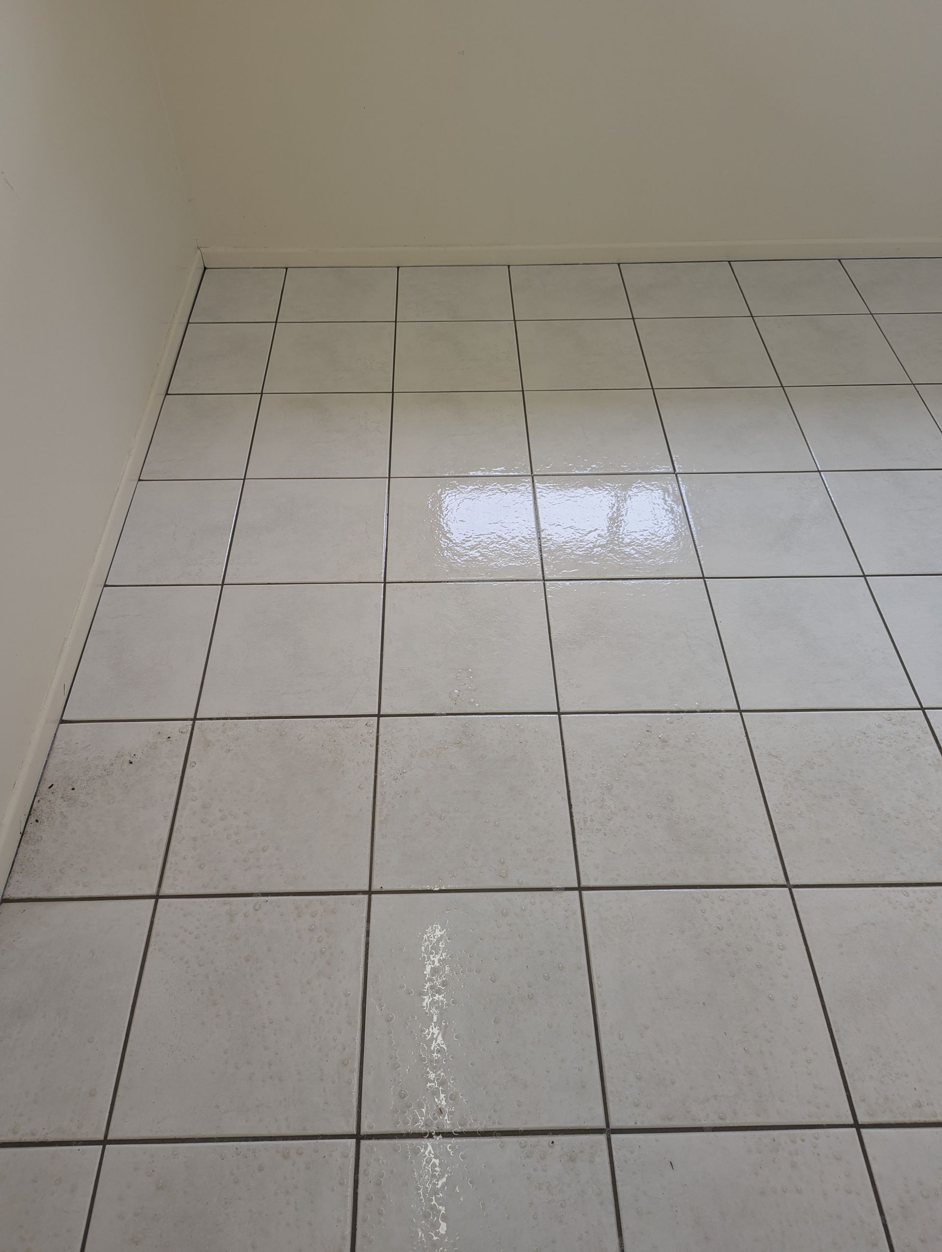 A Person Wearing Orange Gloves is Cleaning a Tile Floor With a Brush — Total Pest and Carpet Cleaning in Yeppoon, QLD