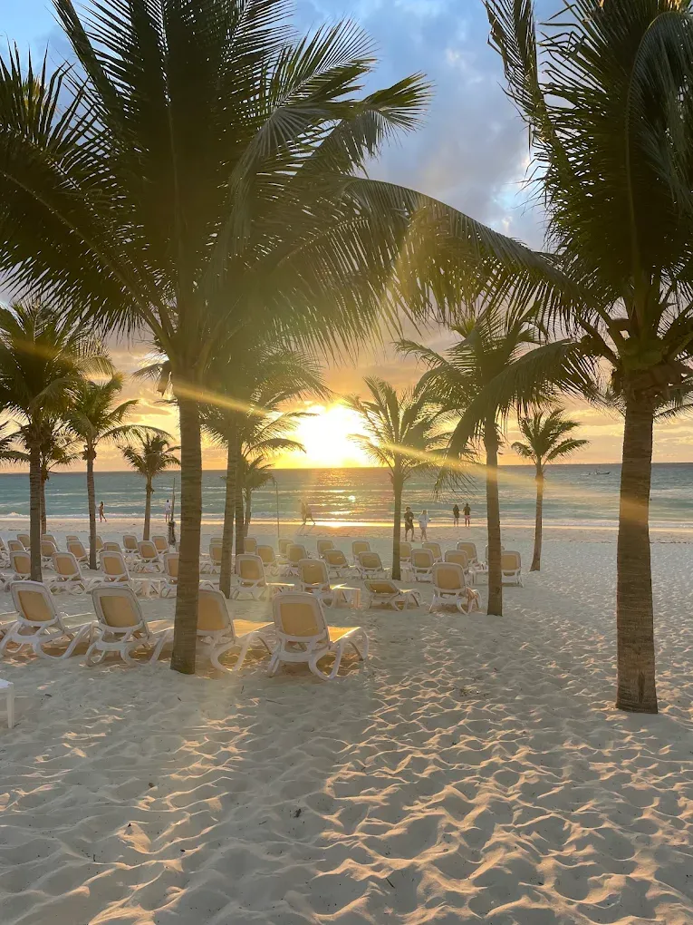 Beach at sunset with palm trees framing the view. Lounge chairs line the sand, while the sun shines on the ocean.
