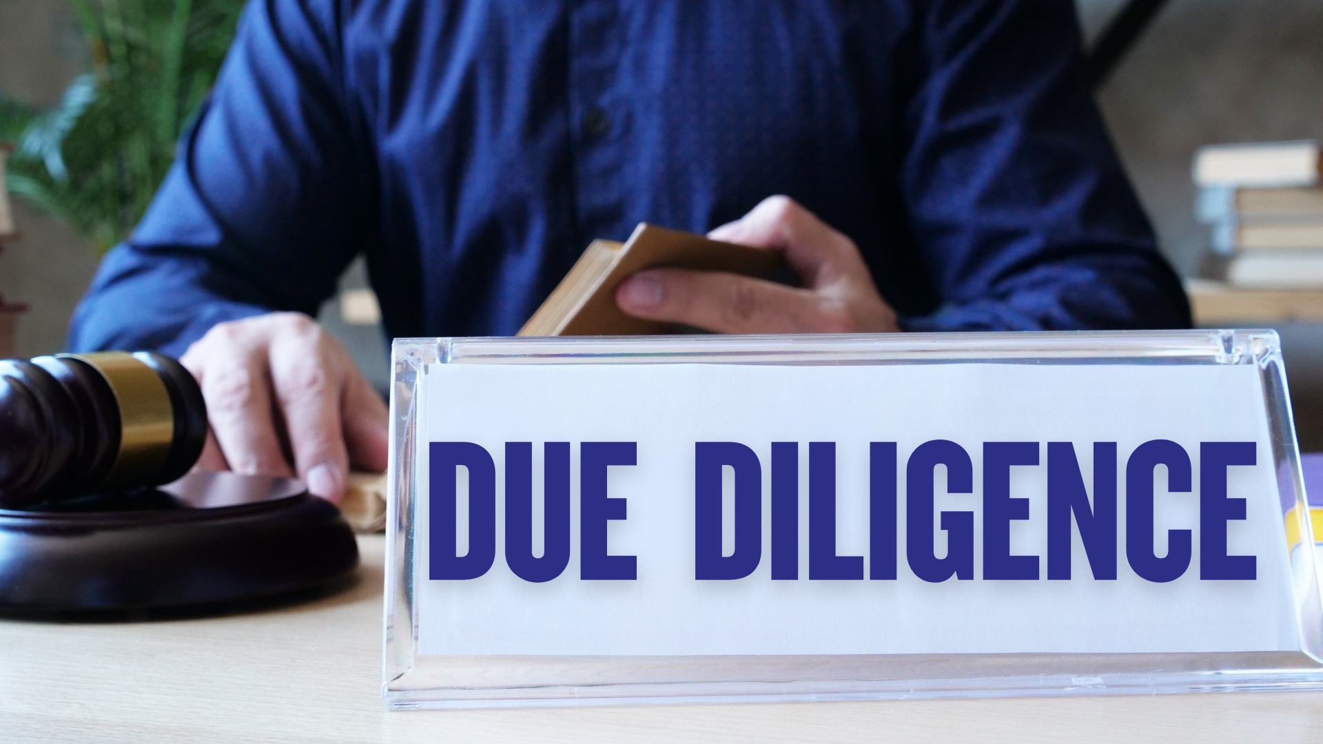 Due Diligence