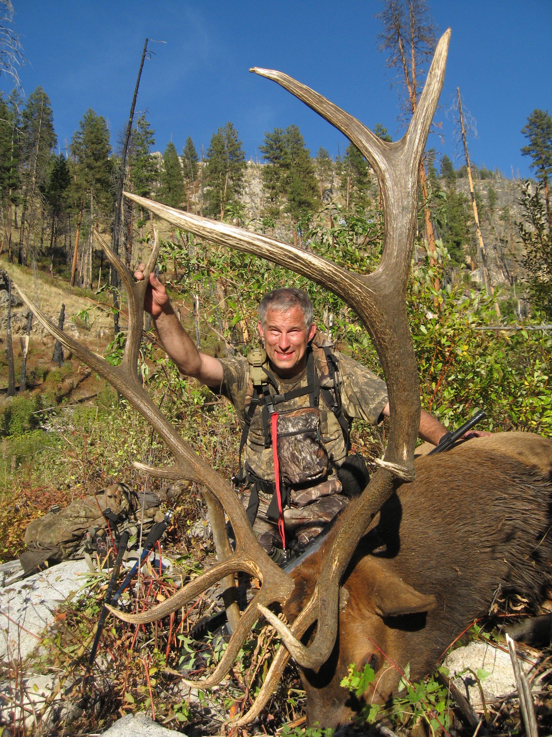 Idaho elk hunting, Idaho elk hunt, Outfitter, Guide