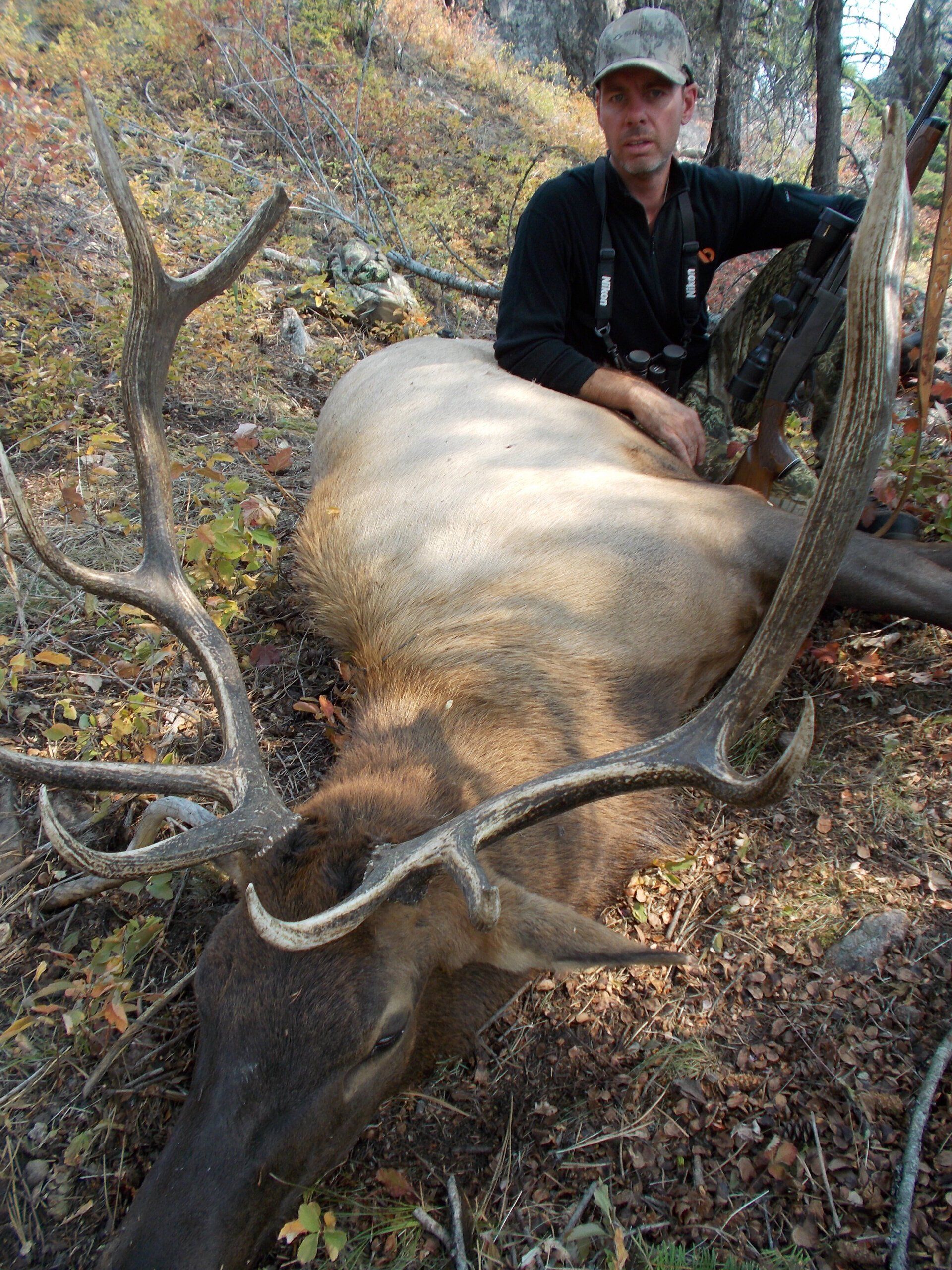 Idaho elk hunting, Idaho elk hunt, Outfitter, Guide