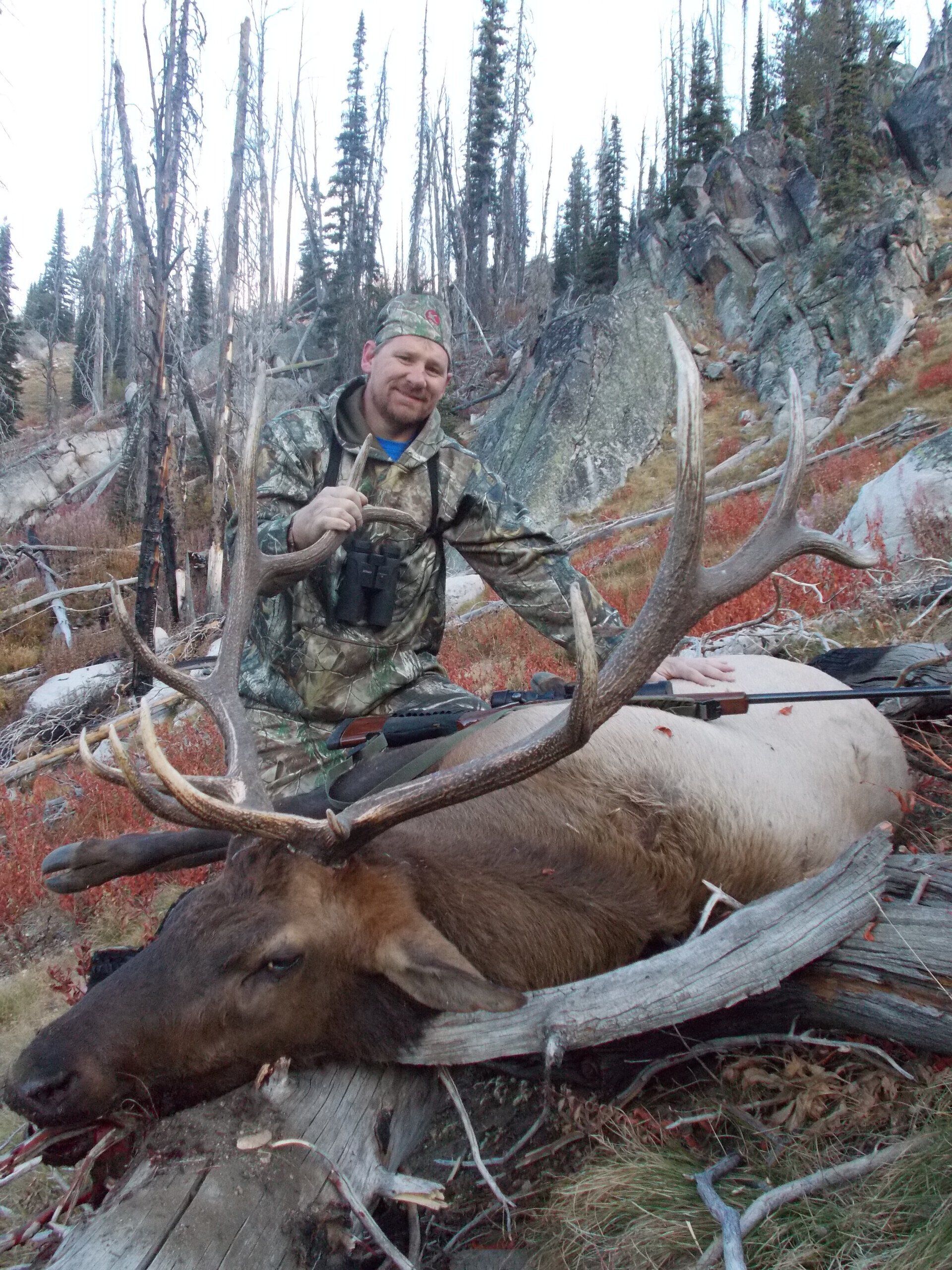Idaho Elk Hunting, Idaho Elk Hunt, Elk Springs Outfitters Guide Service