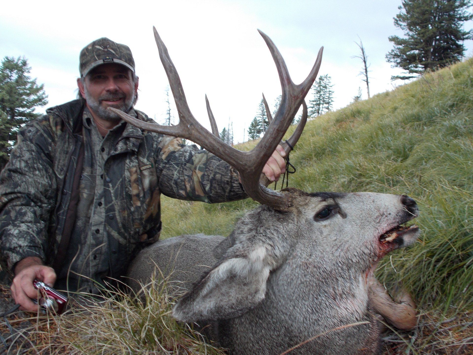 Idaho Mule deer hunting outfitter, Idaho Mule deer hunting guide,