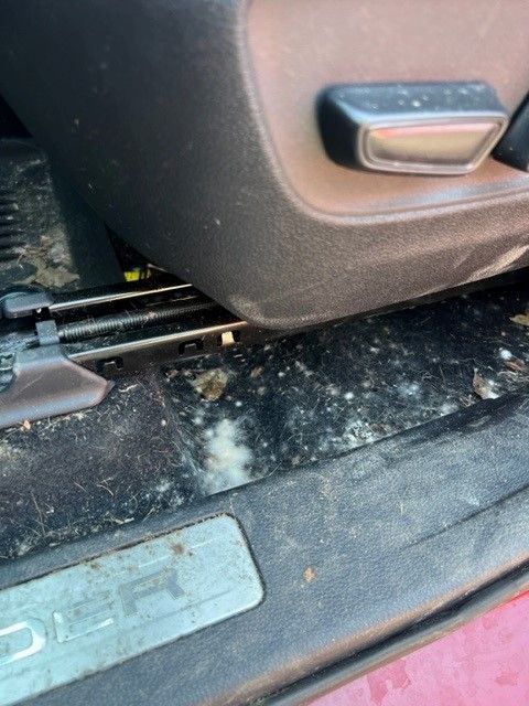 Dirty car interior with mold. Brown car seat, black floor mats, and moldy growth.