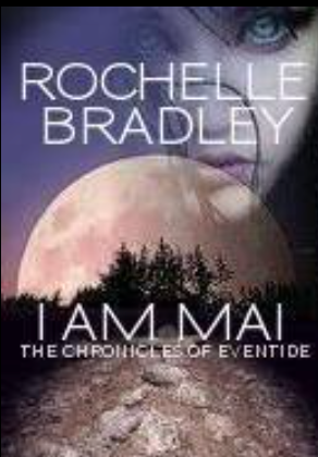 concept cover for book 1