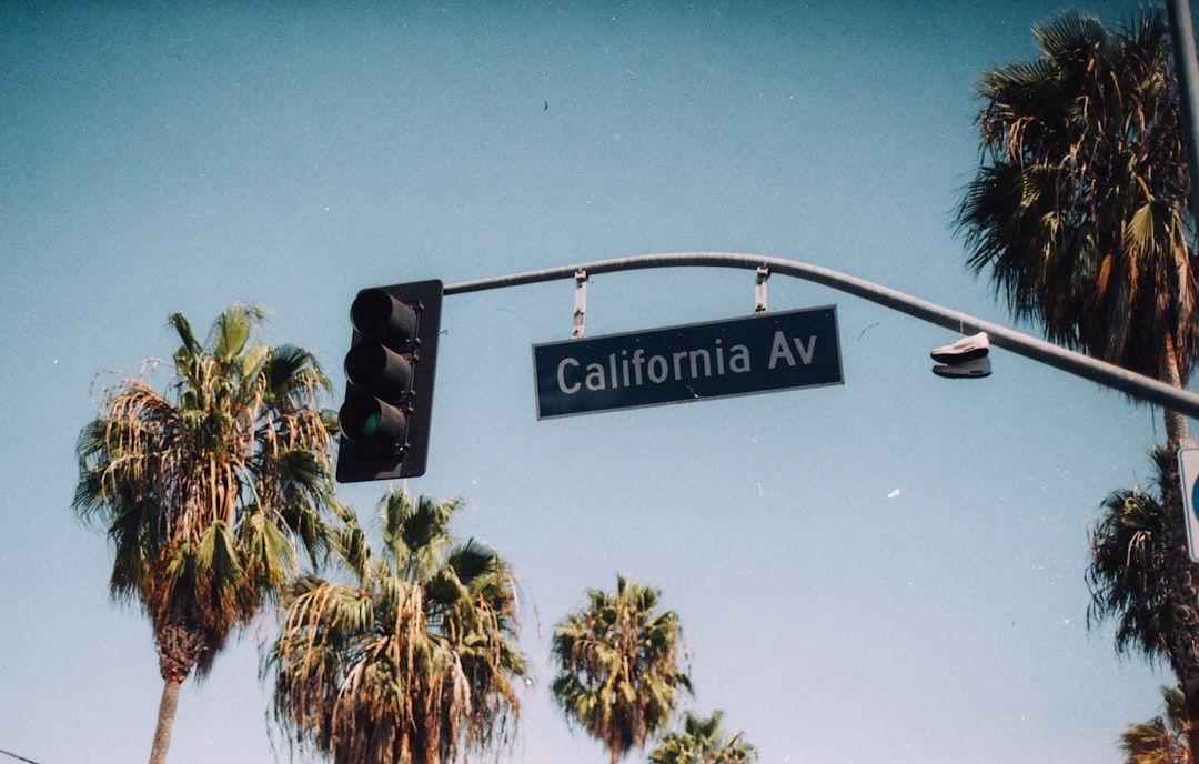 Traffic light and California Av street sign against a blue sky with palm trees.