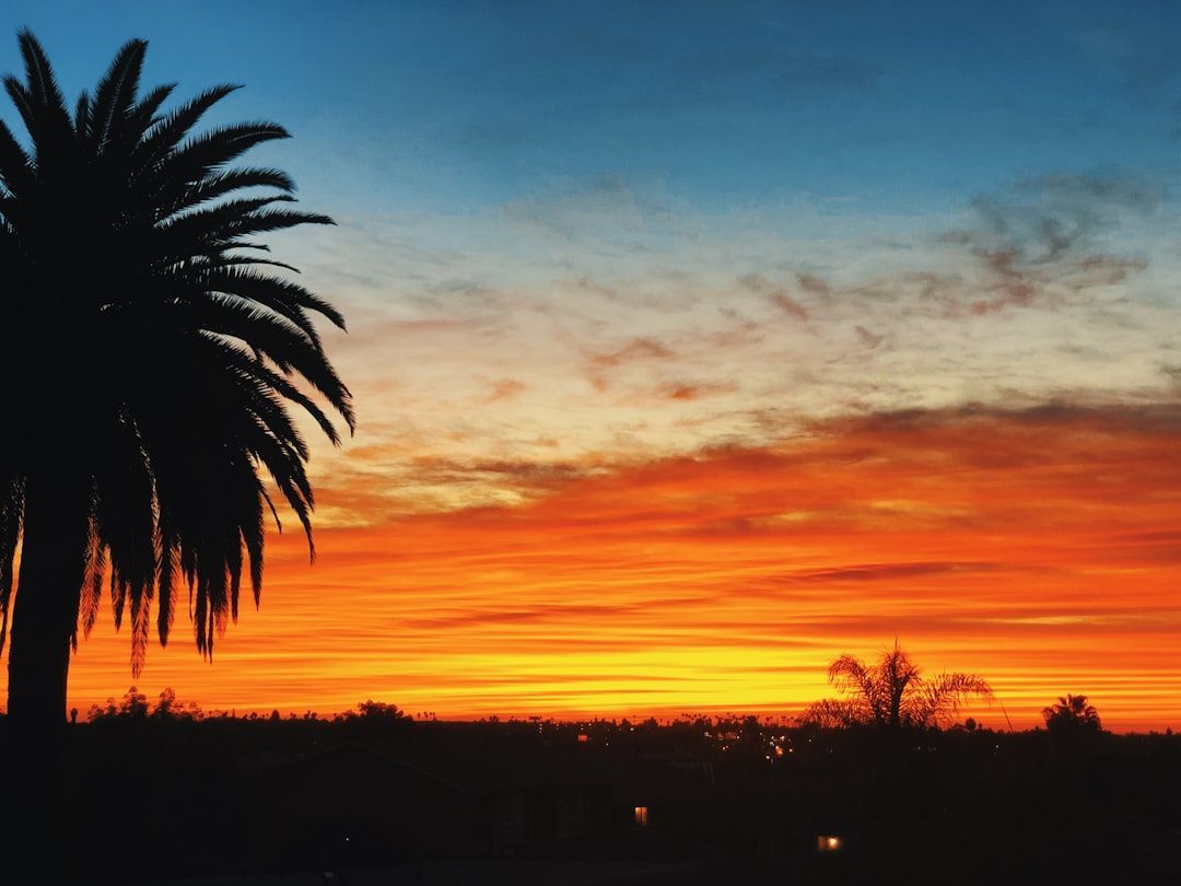 Silhouette of a palm tree at sunset with orange and blue sky over a dark horizon