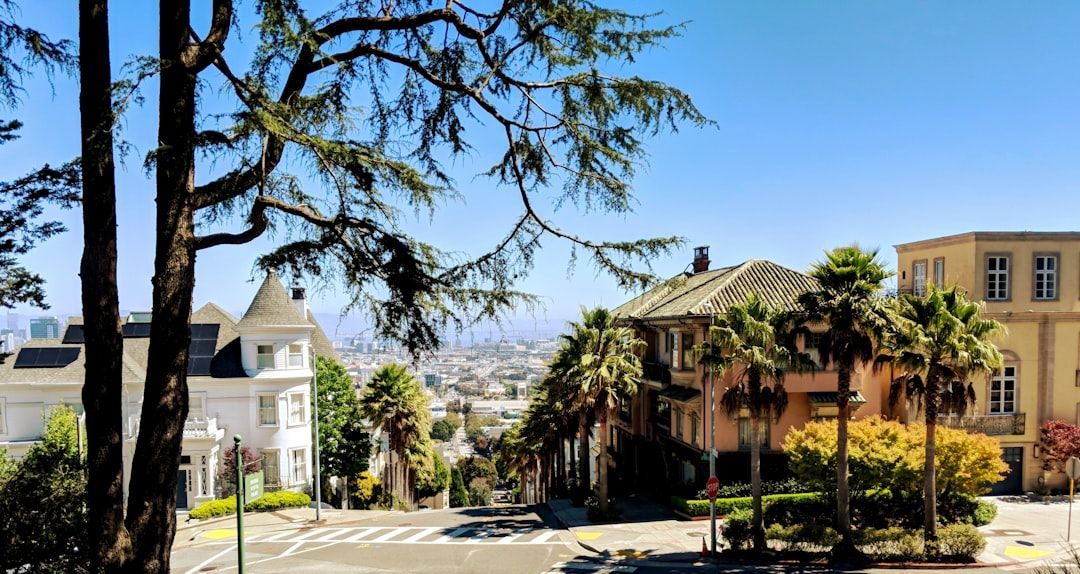 Sunny street with palm trees, houses, and a distant city skyline on a clear day